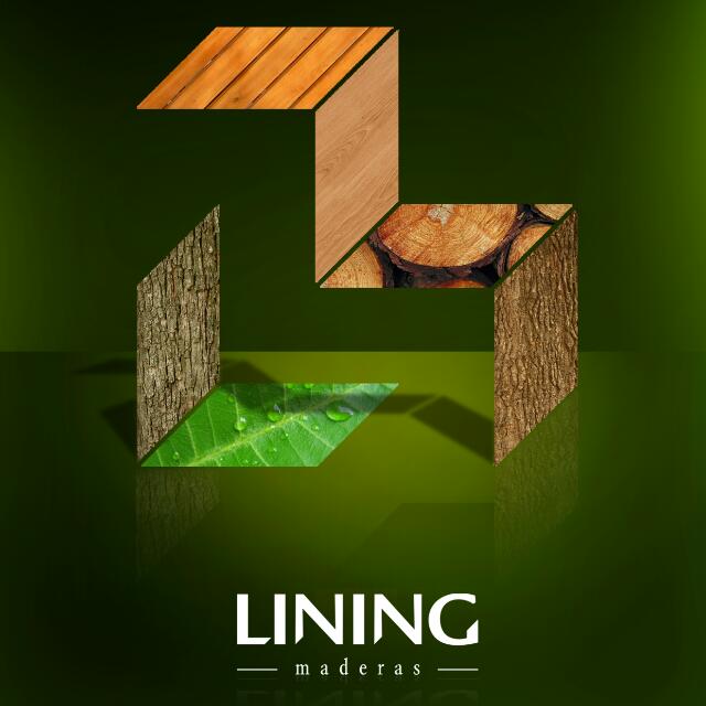 Lining Group20151021_124558